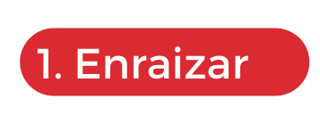 1 Enraizar